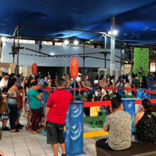 Férias no Polo